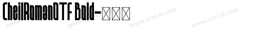 CheilRomanOTF Bold字体转换